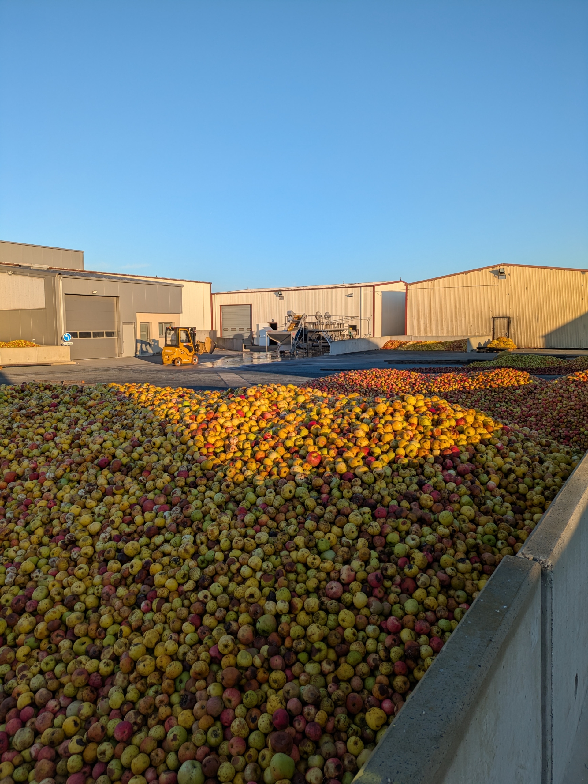 silos de déception des pommes